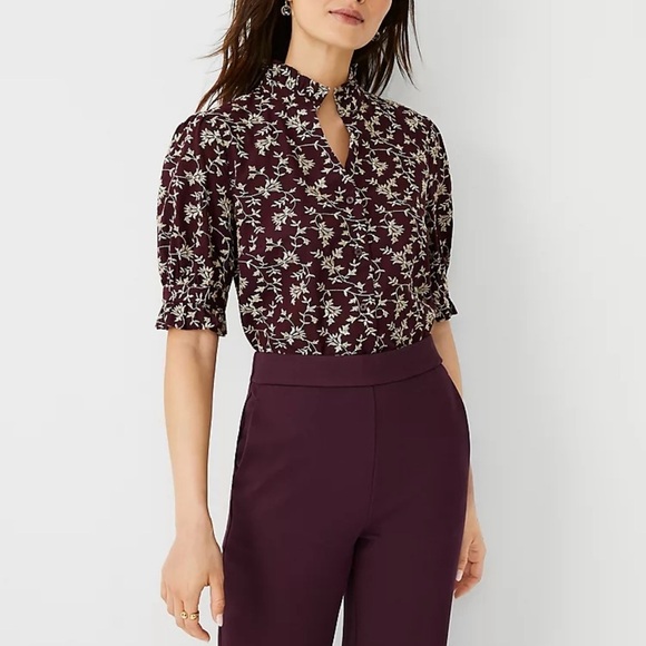 Ann Taylor Embroidered Ruffled Blouse Short Sleeve Size PXL - Picture 11 of 12